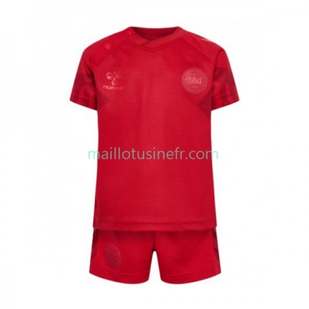 Maillot de Foot Danemark Domicile Coupe du monde 2022 - Enfant